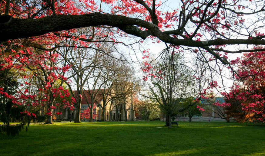 Vassar College Arboretum, United States